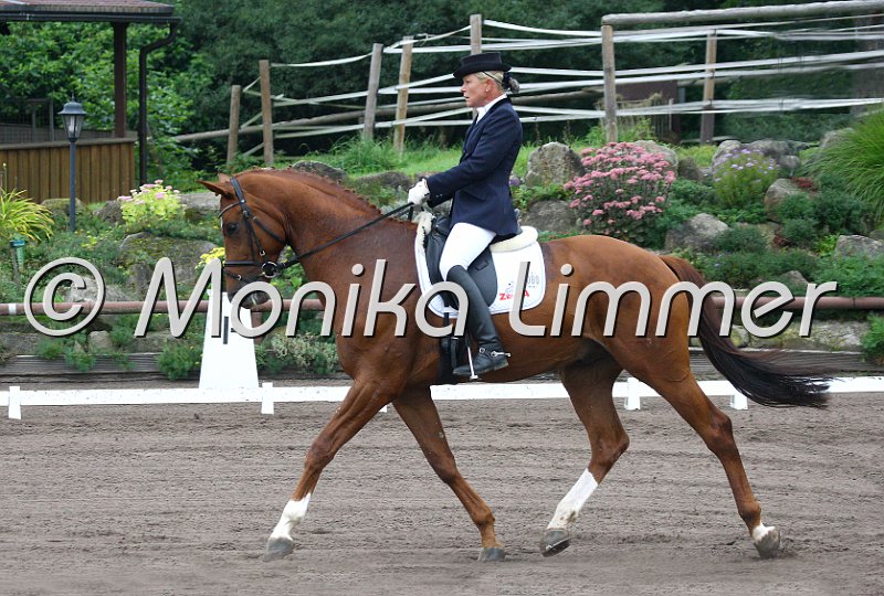 009M8952_Lesprit d amor Dressurpferde L_e.jpg